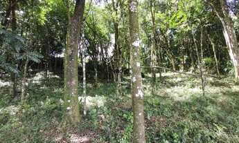 Imagem 4: AMPLO TERRENO NO 15 DA GRACIEMA EM BENTO GONÇALVES