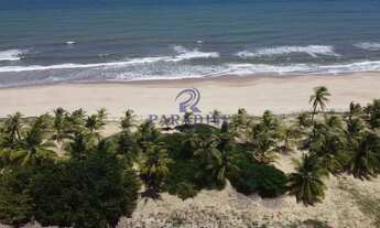 Imagem 3: Área, Sitio do Conde, Conde - R$ 1.6 mi, Cod: 68726