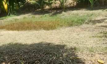 Imagem: Sítio para Venda em Guarapari, Comunidade