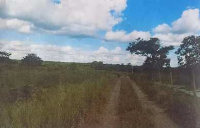 Imagem 2: Fazenda com 1.010 Alqueires no Mato Grosso Oportunidade