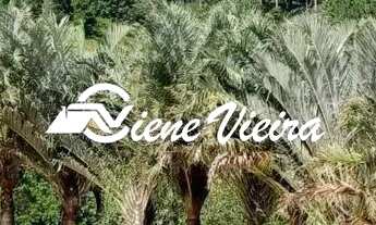 Imagem 6: CHACARA RESIDENCIAL em SANTA ISABEL - SP, CHACARA EM CONDOMINIO