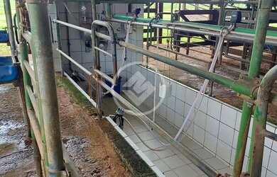 Imagem 6: Trindade - Fazenda de 46 Hectares codigo: 136802