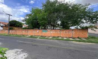 Imagem 3: Terreno aluguel ininga