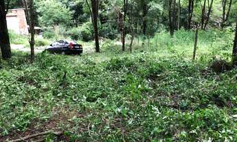 Imagem 4: Vendo lote bananal