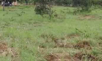 Imagem 4: Aceita Caminhonete ou Lote como parte de pagamento...Sitio Próximo Claro dos poçoes.