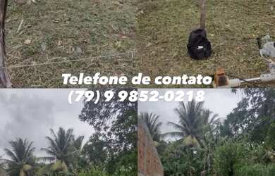 Imagem 5: Terreno Cj. Luis Alves