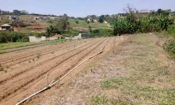 Imagem 4: Venda: Chácara Espetacular A Oportunidade que Você Esperava