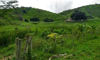 Imagem 3: Sitio 2,5 alqueires