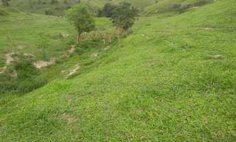 Imagem 4: Sitio 2,5 alqueires