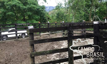 Imagem 5: Campo Brasil Imóveis, realizando seu sonho rural! Sítio com 16 aq na Zona Norte