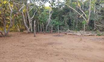 Imagem 5: Chácara em Corguinho