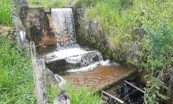 Imagem 6: Vendo magnífica fazenda para pecuária em Iguaí( Porteira fechada