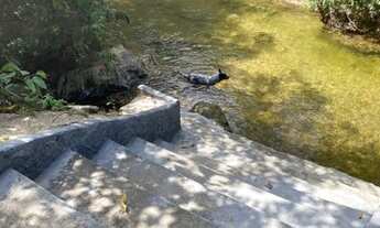 Imagem: Fazenda/Sítio/Chácara para venda possui