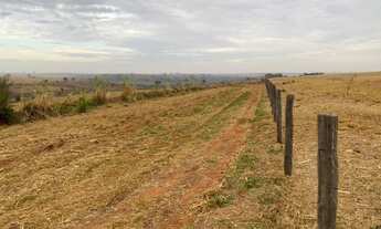 Imagem 2: Fazenda Auriflama, 53 alqueires