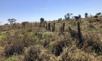 Imagem 5: EXELENTE FAZENDA NO MUNI. DE PRIMA VERA -MT
