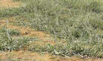 Imagem 3: Ótimo terreno em Itaipava Petrópolis-RJ