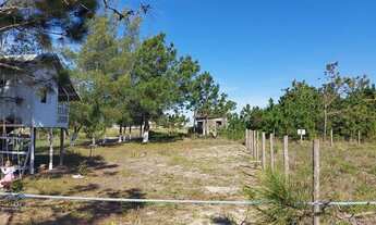Imagem 7: Passo de Torres - Terreno Padrão - Tapera