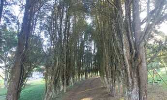 Imagem 3: Compre Seu Terreno e Invista no Seu Sonho em Ibiúna SP MN