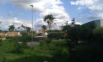 Imagem 5: Terreno para alugar, 3100 m² por R$ 15.000,00/mês - Jardim dos Seixas - São José do Rio Pr