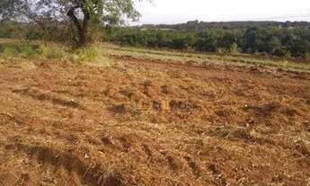 Imagem 5: Oportunidade área em Cajuru 25 alqueires, agende uma visita venha conhecer!