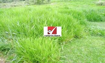 Imagem 4: Fazenda 1260 Alqueires - Pedra Azul-MG