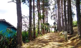 Imagem 4: Locação de Chácara para temporada em cotia próximo ao templo Zu lai