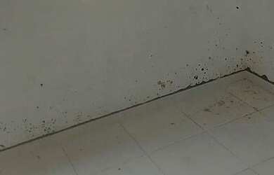 Imagem 6: Apartamento com 2 dormitórios à venda, 46 m² - Jardim Jamaica - Santo André/SP