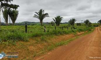 Imagem 2: Fazenda 198 alqueires Região de Cacaulândia