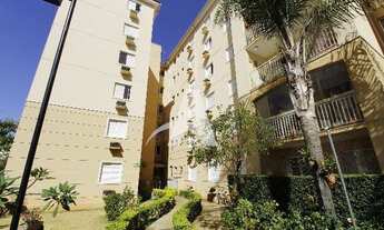 Imagem 4: Aluguel Apartamento SANTA MONICA