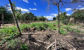 Imagem: Sítio na parada 107 da RS 020