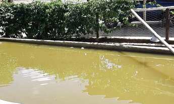 Imagem 2: Sitio com área de 03 hectares em Itaúna/MG