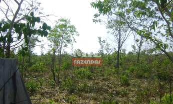 Imagem: Fazenda no Sul do Maranhão p/ Soja. gt