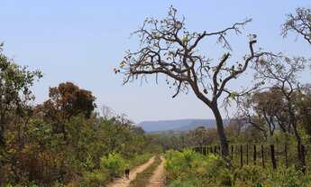 Imagem 4: EXCELENTE SITIO NO MUNI. DE CHAPADA DOS GUIMÃES -MT