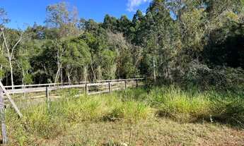 Imagem 3: Sítio na parada 107 da RS 020