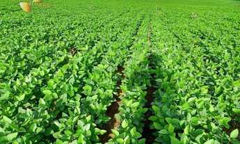 Imagem 4: Fazenda em Canarana à venda, m² por R$ 147.527.520 - Zona Rural - Canarana/MT