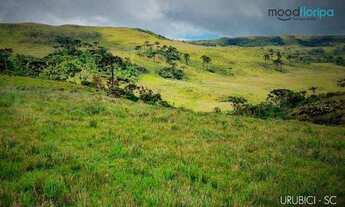 Imagem 3: CONSTRUA SUA CHÁCARA EM URUBICI!