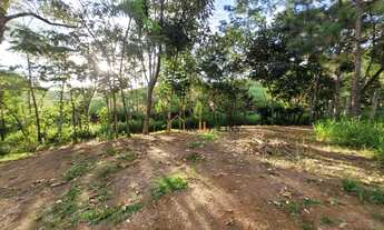 Imagem 6: Maravilhosa chácara em Pinhalzinho com 6.000 m² casa com 06 dormitórios, churrasqueira, pi