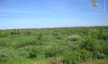 Imagem 5: Área junto a BR448 , Rodovia do Parque, com 247,50 m de frente a rodovia