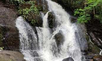 Imagem: Lote/Terreno para venda possui 600 metros