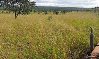 Imagem: Fazenda à venda, m² por R$ 48.600.000,00