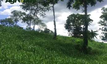 Imagem 5: Fazenda localizada no município de São Salvador TO