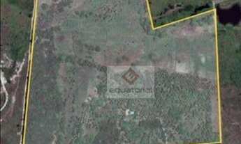 Imagem 5: Sítio com 4 dormitórios à venda, 380000 m² por R$ 1.216.000 - Zona Rural - Pindoretama/CE