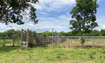 Imagem 3: Fazenda em Palmeiropolis-TO. 60 mil por alqueire
