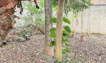 Imagem 5: Casa com 3 dormitórios à venda, 133 m² por R$ 2.100.000,00 - Alto da Mooca - São Paulo/SP