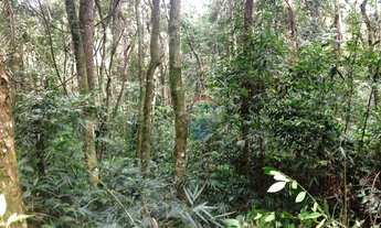 Imagem 4: Lote 5.000m² - Jardins de Petrópolis