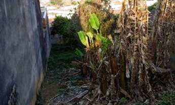 Imagem: TERRENO A VENDA DE 235 M2 NO JARDIM PACAEMBU