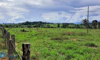 Imagem 6: Fazenda 150 alqueires Região de Ariquemes
