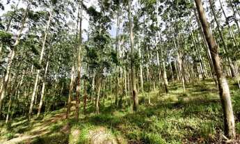 Imagem 5: Sítio para Venda em Imaruí, Centro