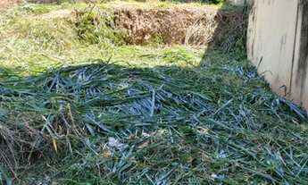 Imagem 2: Excelente Lote / Terreno misto em aclive, Chácaras da Barra, Campinas SP, pronto para cons