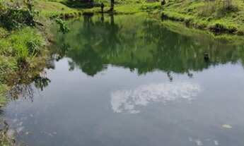 Imagem: Sitio 80 Alqueires Região de Cacaulândia